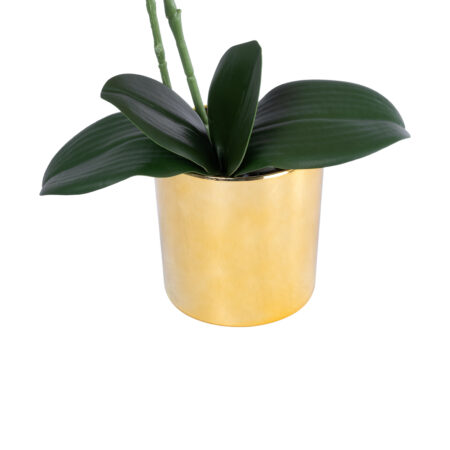 SALMON PINK ORCHID 21129 Διακοσμητικό Φυτό Φούξια Ορχιδέα Υ43cm - Τεχνητες Ορχιδεες Sticky 2