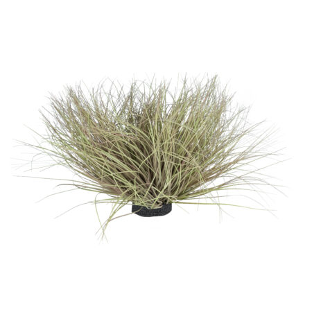 GRASS BUSH PLANT 21167 Τεχνητό Διακοσμητικό Φυτό Θάμνος Grass Π50cm Y30cm - Τεχνητά Γρασίδια και Χόρτα