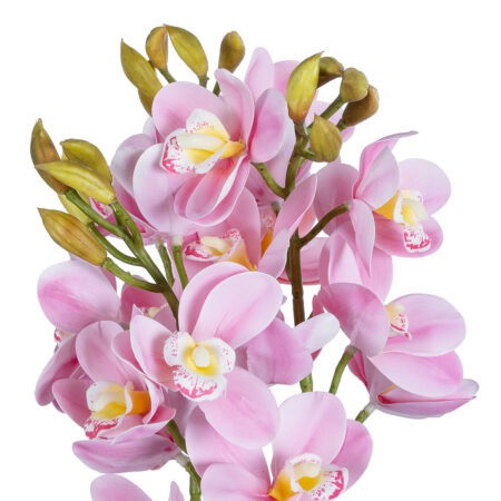 PALE PINK CHERRY CYMBIDIUM 21403 Διακοσμητικό Φυτό Ροζ Κυμβίδιο Υ60cm - Τεχνητες Ορχιδεες Sticky 1