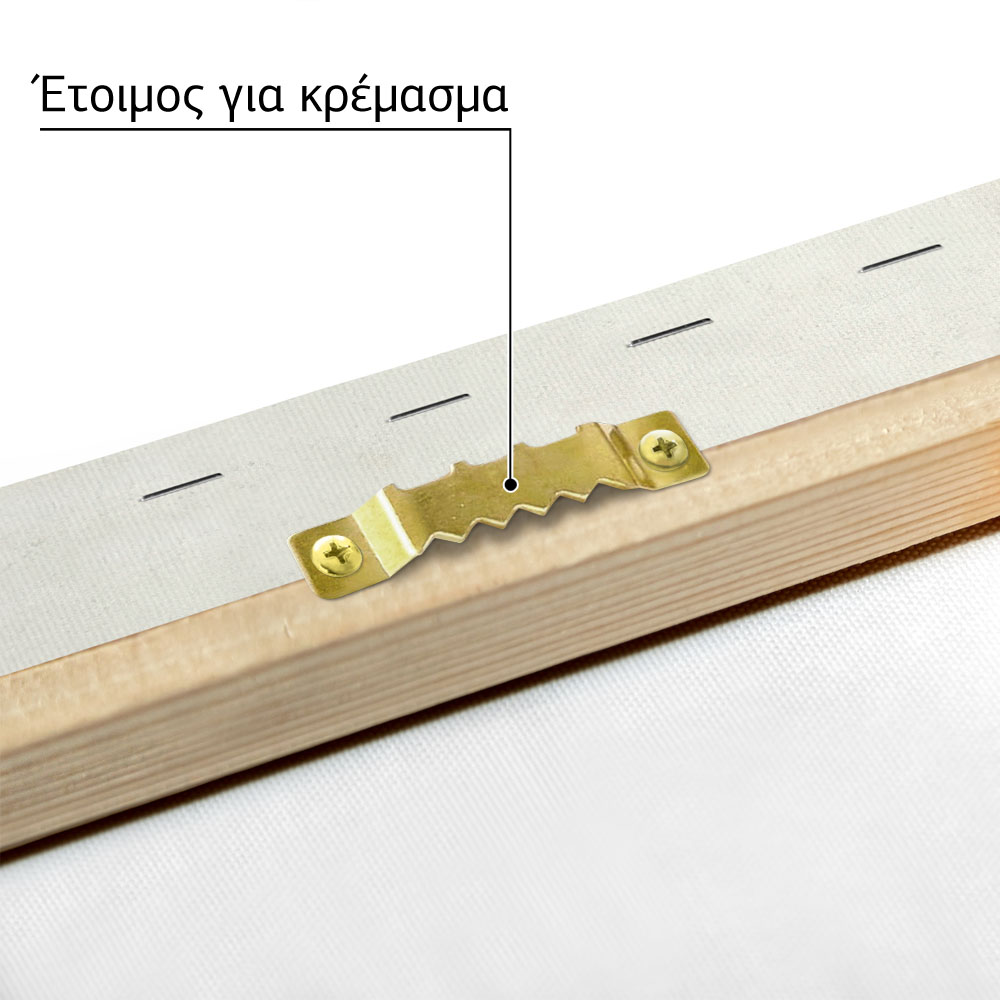 Πινακας σε καμβά LASZLO MOHOLY-NAGY - GALALITE PICTURE