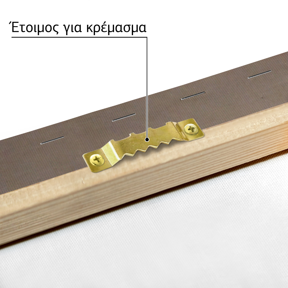 Πινακας σε καμβά LASZLO MOHOLY-NAGY - LIS 1922