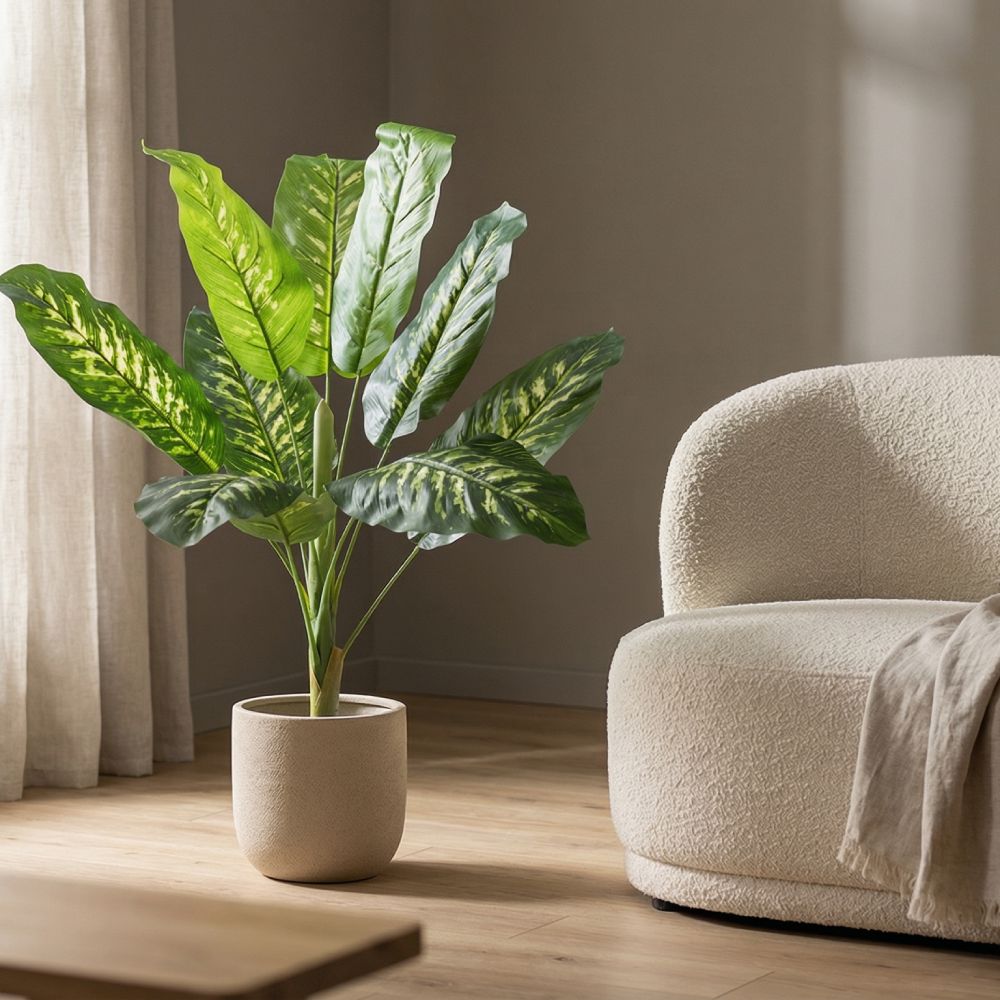 CALATHEA PLANT 20940 Διακοσμητικό Φυτό Καλαθέα Φ80 x Υ90cm