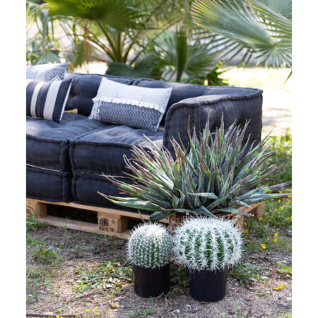 FEROCACTUS ΦΥΤΟ ΤΕΧΝΗΤΟ ΣΕ ΓΛΑΣΤΡΑ 25x25x33 ΥΦΑΣΜΑ ΠΡΑΣΙΝΟ ΛΕΥΚΟ ΠΛΑΣΤΙΚΟ - Τεχνητοι Κακτοι Sticky 3