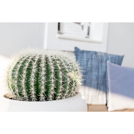 FEROCACTUS ΦΥΤΟ ΤΕΧΝΗΤΟ ΣΕ ΓΛΑΣΤΡΑ 25x25x33 ΥΦΑΣΜΑ ΠΡΑΣΙΝΟ ΛΕΥΚΟ ΠΛΑΣΤΙΚΟ - Τεχνητοι Κακτοι Sticky 5