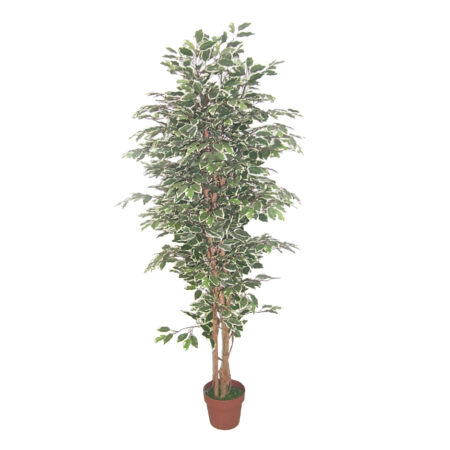 FICUS ΔΕΝΤΡΟ ΤΕΧΝΗΤΟ ΣΕ ΓΛΑΣΤΡΑ 170 POLYESTER ΠΡΑΣΙΝΟ PE/PP - Τεχνητοι Φικοι