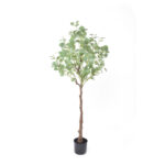 SILVER DOLLAR EUCALYPTUS ΔΕΝΤΡΟ ΤΕΧΝΗΤΟ ΣΕ ΓΛΑΣΤΡΑ 150 PE ΠΡΑΣΙΝΟ ΜΕΤΑΞΩΤΟ ΥΦΑΣΜΑ