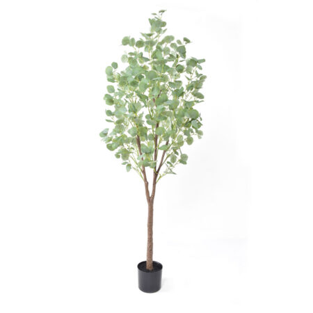 SILVER DOLLAR EUCALYPTUS ΔΕΝΤΡΟ ΤΕΧΝΗΤΟ ΣΕ ΓΛΑΣΤΡΑ 180 PE ΠΡΑΣΙΝΟ ΜΕΤΑΞΩΤΟ ΥΦΑΣΜΑ - Τεχνητά Φυτά και Δέντρα