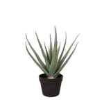 ALOE ΦΥΤΟ ΤΕΧΝΗΤΟ ΣΕ ΓΛΑΣΤΡΑ 52 PVC ΠΡΑΣΙΝΟ ΜΑΥΡΟ ΤΣΙΜΕΝΤΟ