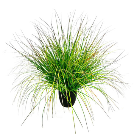 BENT GRASS ΦΥΤΟ ΤΕΧΝΗΤΟ ΣΕ ΓΛΑΣΤΡΑ 90 PVC ΠΡΑΣΙΝΟ - Τεχνητά Γρασίδια και Χόρτα
