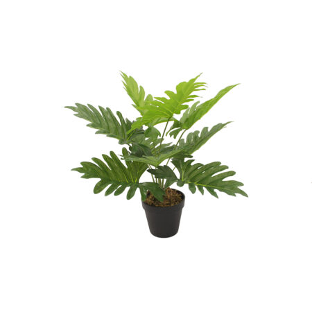 PHILODENDRON ΦΥΤΟ ΤΕΧΝΗΤΟ ΣΕ ΓΛΑΣΤΡΑ 45 PEVA ΠΡΑΣΙΝΟ - 