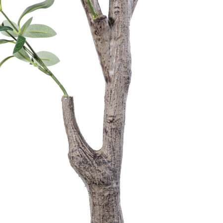 OLIVE TREE 20429 Τεχνητό Διακοσμητικό Δέντρο Ελιά Υ240cm - Τεχνητες Ελιες Sticky 4