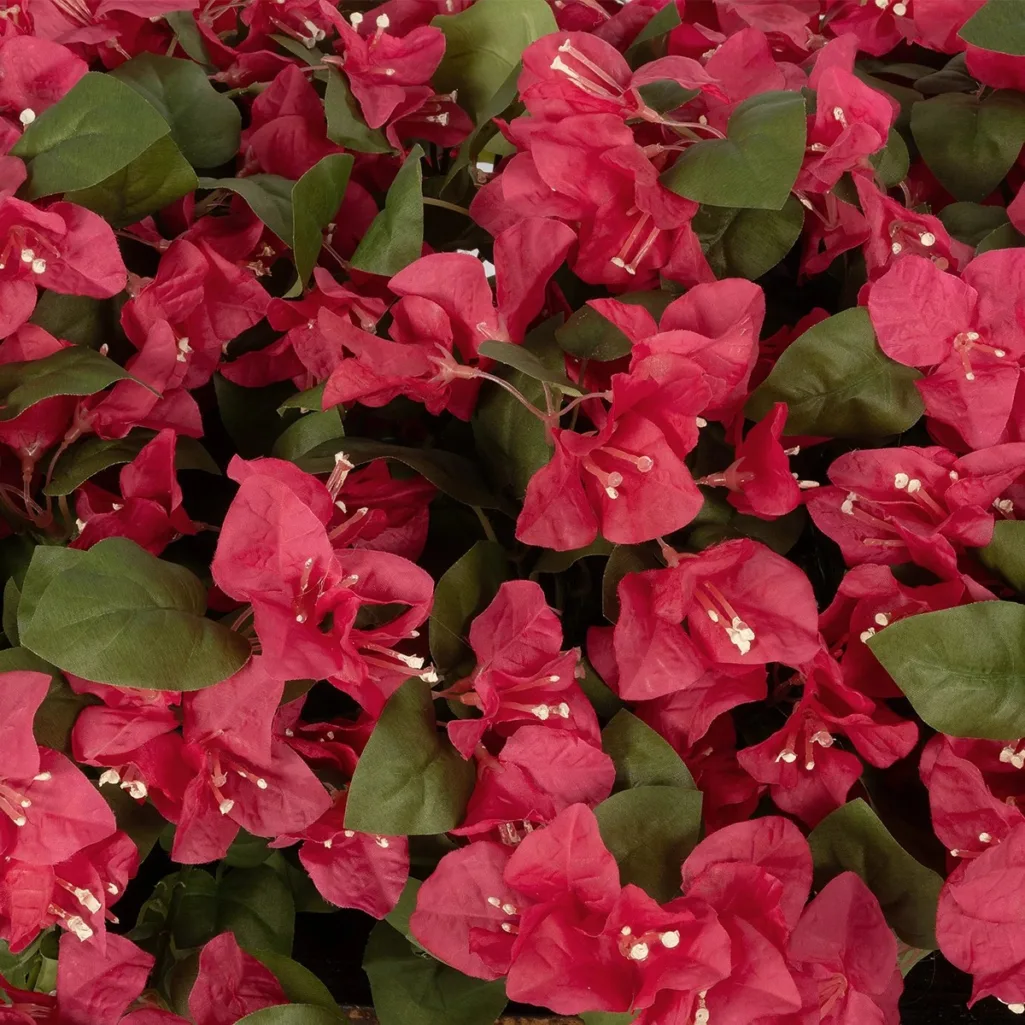 BOUGANVILLEA PLANT 20666 Τεχνητό Διακοσμητικό Φυτό Μπουκανβίλια Π145 x Μ70 x Y57cm
