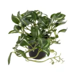 ZEBRINA PLANT 20960 Διακοσμητικό Φυτό Ζεμπρίνα Φ45 x Υ22cm