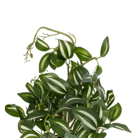 ZEBRINA PLANT 20960 Διακοσμητικό Φυτό Ζεμπρίνα Φ45 x Υ22cm - Μικρα Φυτά και Παχύφυτα Sticky 2