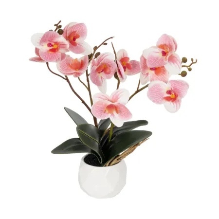 PINK ORCHID 21075 Διακοσμητικό Φυτό Ροζ Ορχιδέα  Υ30cm - 