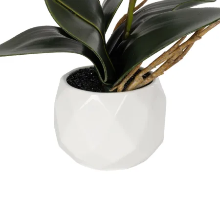 PINK ORCHID 21075 Διακοσμητικό Φυτό Ροζ Ορχιδέα  Υ30cm -  Sticky 2