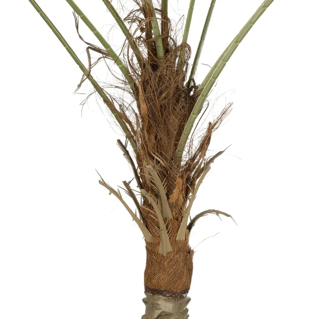 WASHINGTONIA FILIFERA TREE 21107 Τεχνητό Διακοσμητικό Φοινικόδεντρου Υ200cm