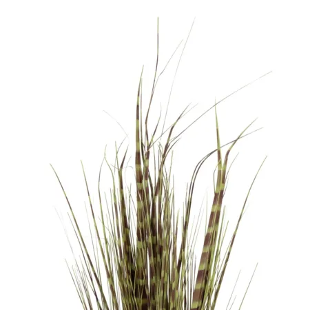 ZEBRA GRASS 21482 Τεχνητό Διακοσμητικό Φυτό Ζέμπρα  Υ85cm - Τεχνητά Γρασίδια και Χόρτα Sticky 1