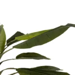 BANANA TREE 21500 Τεχνητό Διακοσμητικό Δέντρο Μπανανιάς Υ300cm