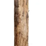 BANANA TREE 21500 Τεχνητό Διακοσμητικό Δέντρο Μπανανιάς Υ300cm