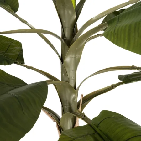 BANANA TREE 21502 Τεχνητό Διακοσμητικό Δέντρο Μπανανιάς Υ500cm - Τεχνητες Μπανανιες Sticky 2