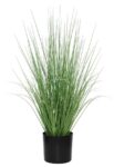 ONION GRASS TREE NP1009_60 ΥΨΟΣ 60cm