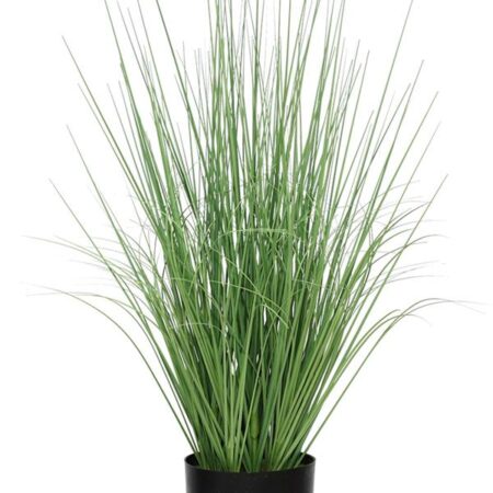 ONION GRASS TREE NP1009_60 ΥΨΟΣ 60cm