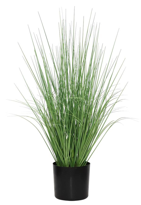 ONION GRASS TREE NP1009_60 ΥΨΟΣ 60cm