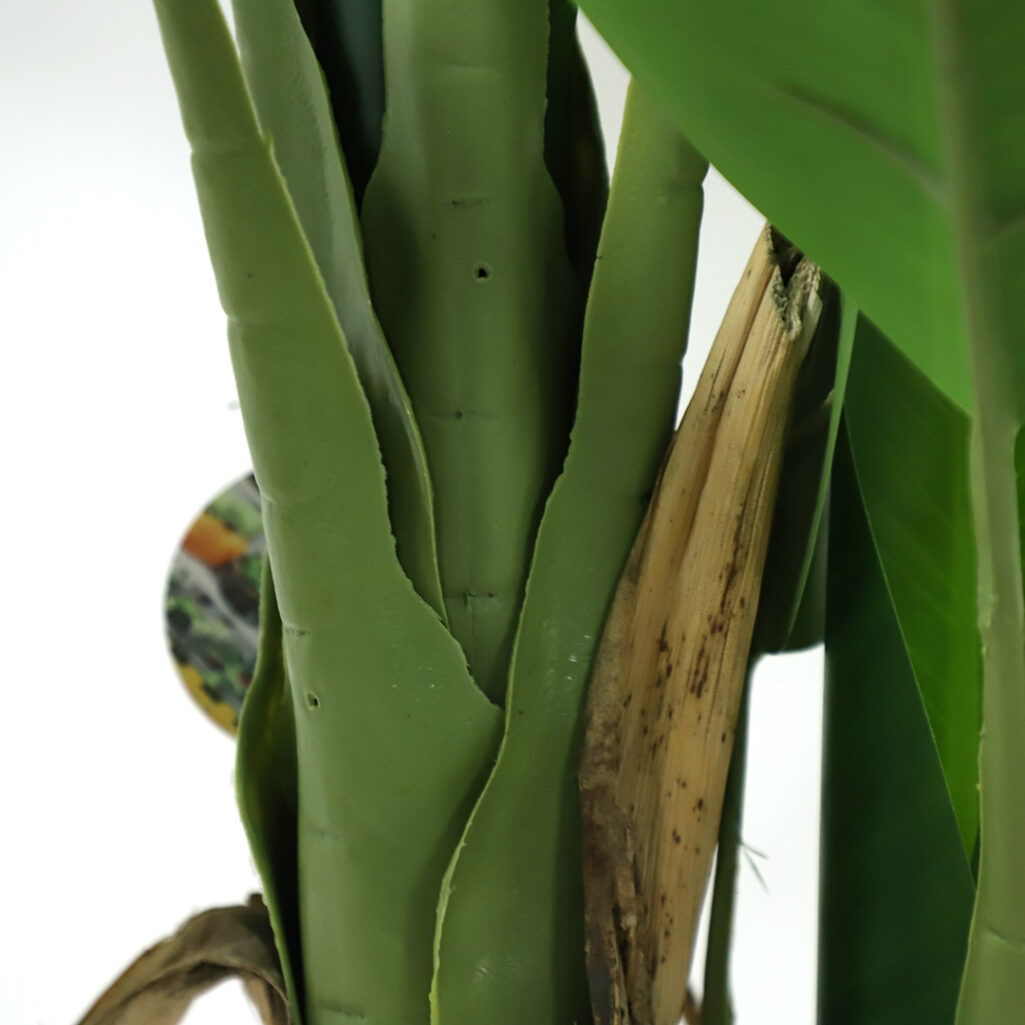 BANANA TREE NP702_145 ΥΨΟΣ 145cm