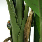 BANANA TREE NP702_145 ΥΨΟΣ 145cm
