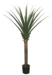 AGAVE TREE  NP802_160  ΥΨΟΣ 160cm