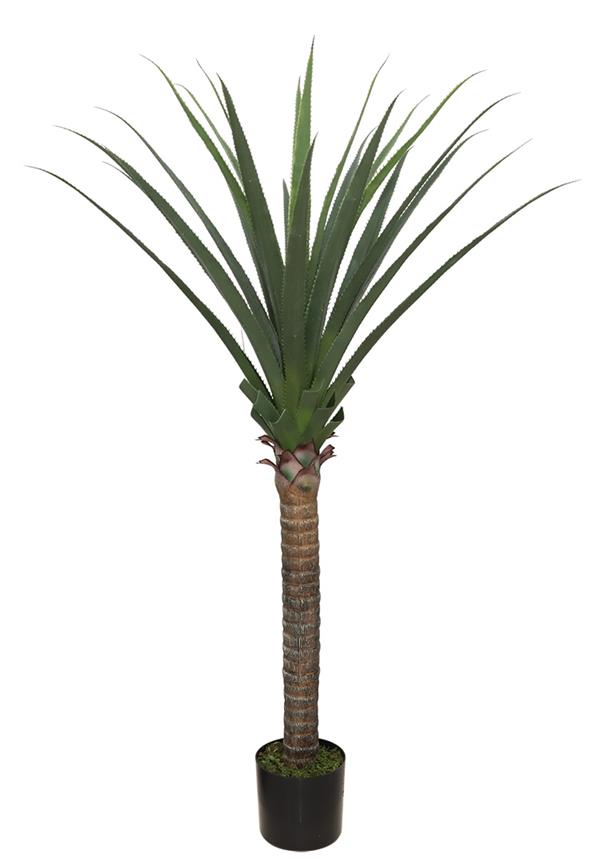 AGAVE TREE  NP802_160  ΥΨΟΣ 160cm