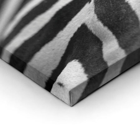 Σετ Δίπτυχος Πινακας σε καμβά GREVY ZEBRA - Ζεμπρες Sticky 1