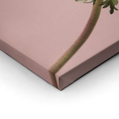 Σετ Τριπτυχος Πινακας σε καμβά PINK MINIMALISM - Ανεμωνες Sticky 2