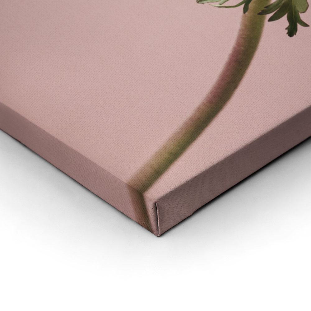 Σετ Τριπτυχος Πινακας σε καμβά PINK MINIMALISM
