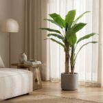 BANANA TREE NP702_145 ΥΨΟΣ 145cm