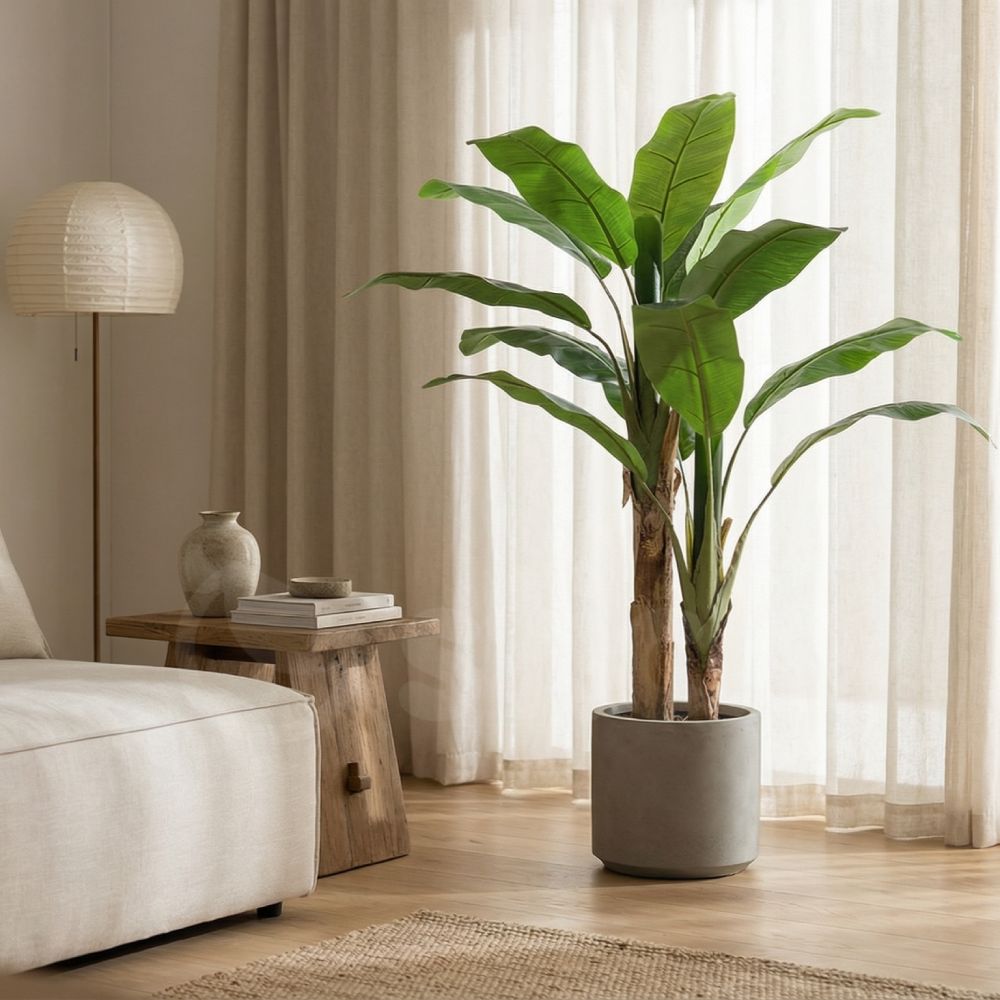 BANANA TREE NP702_145 ΥΨΟΣ 145cm