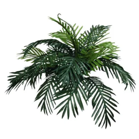 ΡΙΖΑ ΤΣΙΚΑ 70xY45cm. - Πρασινάδες - Κρεμαστά φυτά Sticky 1