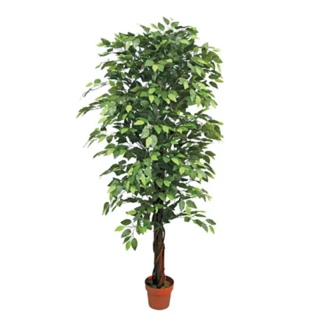 ΔΕΝΤΡΟ ΜΠΕΝΖΑΜΙΝ ΠΡΑΣΙΝΟ ΣΕ ΓΛΑΣΤΡΑ - Y180cm - Τεχνητοι Φικοι