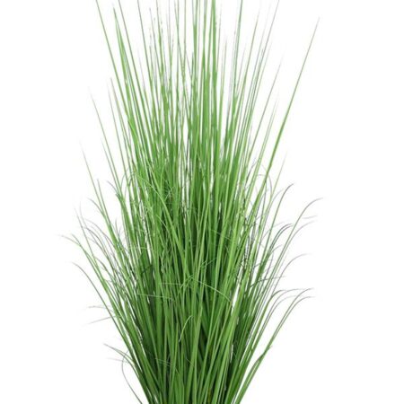ONION GRASS TREE NP1011_120 ΥΨΟΣ 120cm
