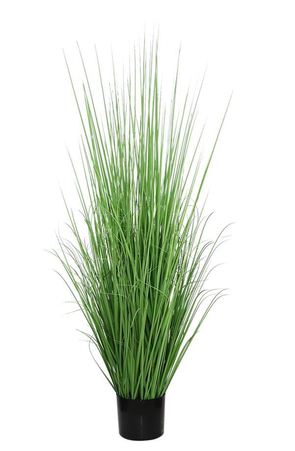 ONION GRASS TREE NP1011_120 ΥΨΟΣ 120cm