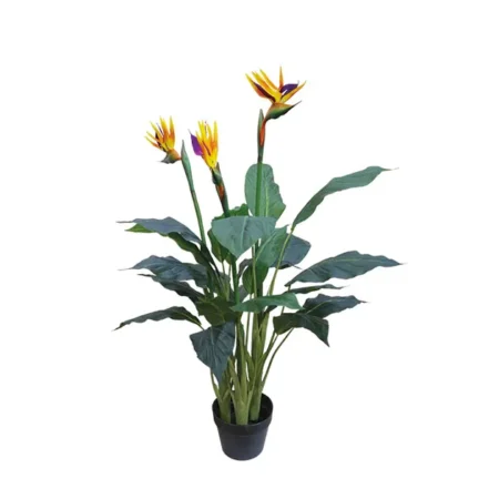 ΔΕΝΤΡΟ ΠΟΥΛΙ ΤΟΥ ΠΑΡΑΔΕΙΣΟΥ ΣΕ ΓΛΑΣΤΡΑ - Υ96cm - Τεχνητες Στρελιτσιες (Πουλι παραδεισου)