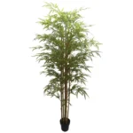 ΔΕΝΤΡΟ ΜΠΑΜΠΟΥ REAL TOUCH ΣΕ ΓΛΑΣΤΡΑ - Y220cm