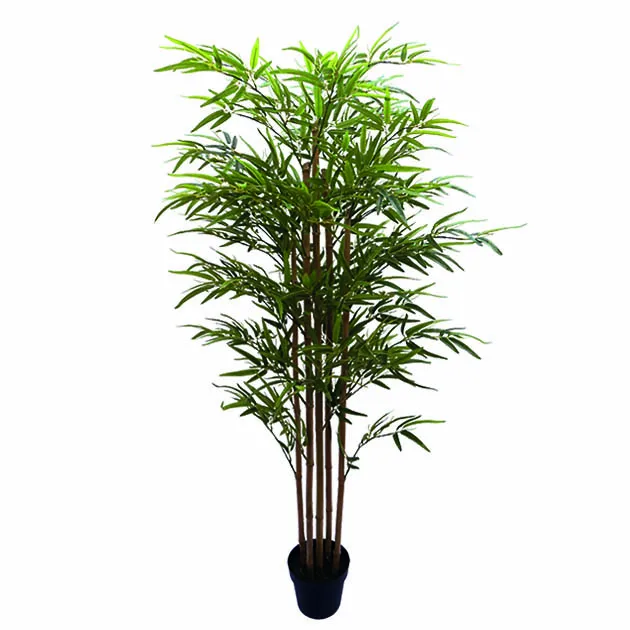 ΔΕΝΤΡΟ ΜΠΑΜΠΟΥ REAL TOUCH ΣΕ ΓΛΑΣΤΡΑ Y155cm