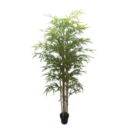 ΔΕΝΤΡΟ ΜΠΑΜΠΟΥ REAL TOUCH ΣΕ ΓΛΑΣΤΡΑ Y180cm