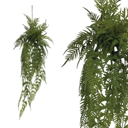 ΡΙΖΑ ΚΡΕΜΑΣΤΗ ΦΤΕΡΗ ΣΕ ΚΟΡΜΟ ΜΕ ΒΡΥΑ - Y142cm - Πρασινάδες - Κρεμαστά φυτά Sticky 1