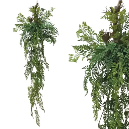 ΡΙΖΑ ΚΡΕΜΑΣΤΗ ΦΤΕΡΗ ΣΕ ΚΟΡΜΟ ΜΕ ΒΡΥΑ - Υ165cm - Πρασινάδες - Κρεμαστά φυτά Sticky 1