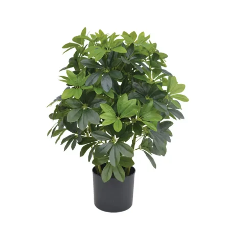 ΔΕΝΤΡΟ ΣΕΦΛΙΕΡΑ ΠΡΑΣΙΝΟ REAL TOUCH ΣΕ ΚΑΣΠΩ - Υ70cm - Τροπικα και Ιδιαιτερα Τεχνητα φυτα