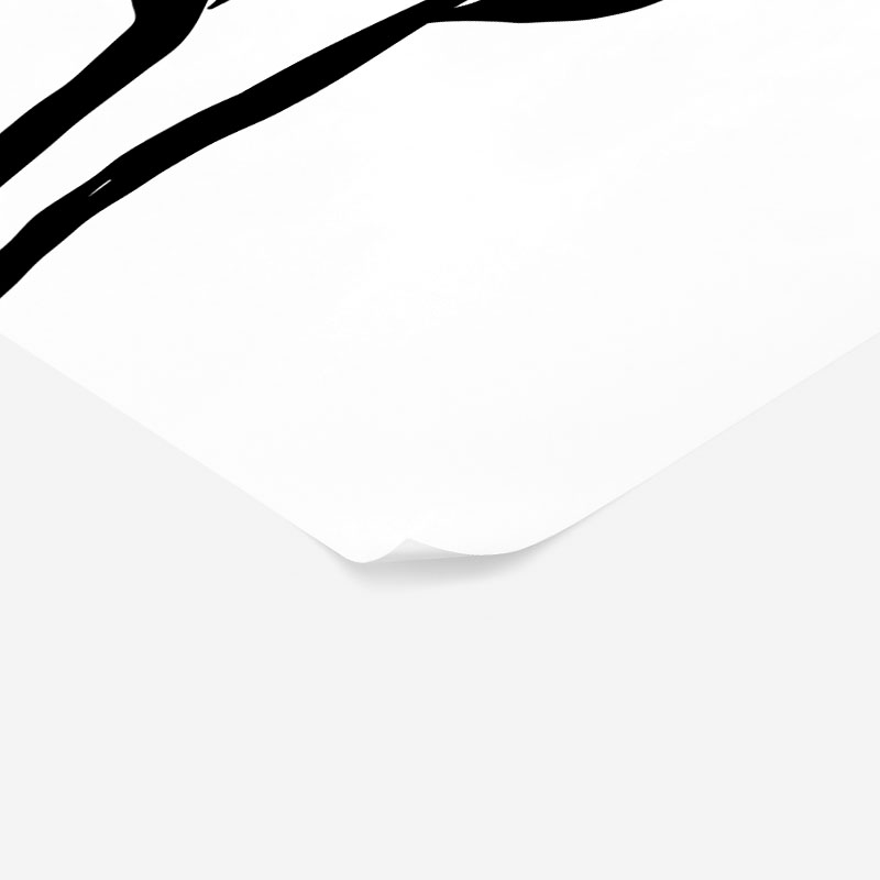Πόστερ ABSTRACT BLACK AND WHITE FLOWERS
