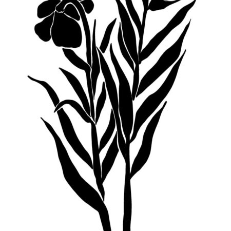 Πόστερ ABSTRACT BLACK AND WHITE FLOWERS - Posters Sticky 3